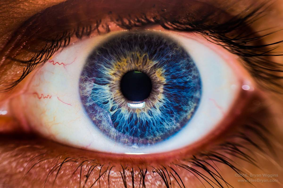 A close up on a woman's eye. Her cornea is transparent, but it's the part of her eye that covers the iris, pupil, and anterior chamber. (Bryan, Flickr)