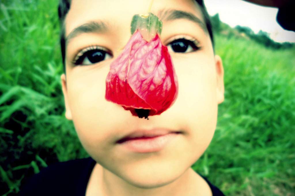 A child's nose covers up by a flower (deborascant, Flickr)