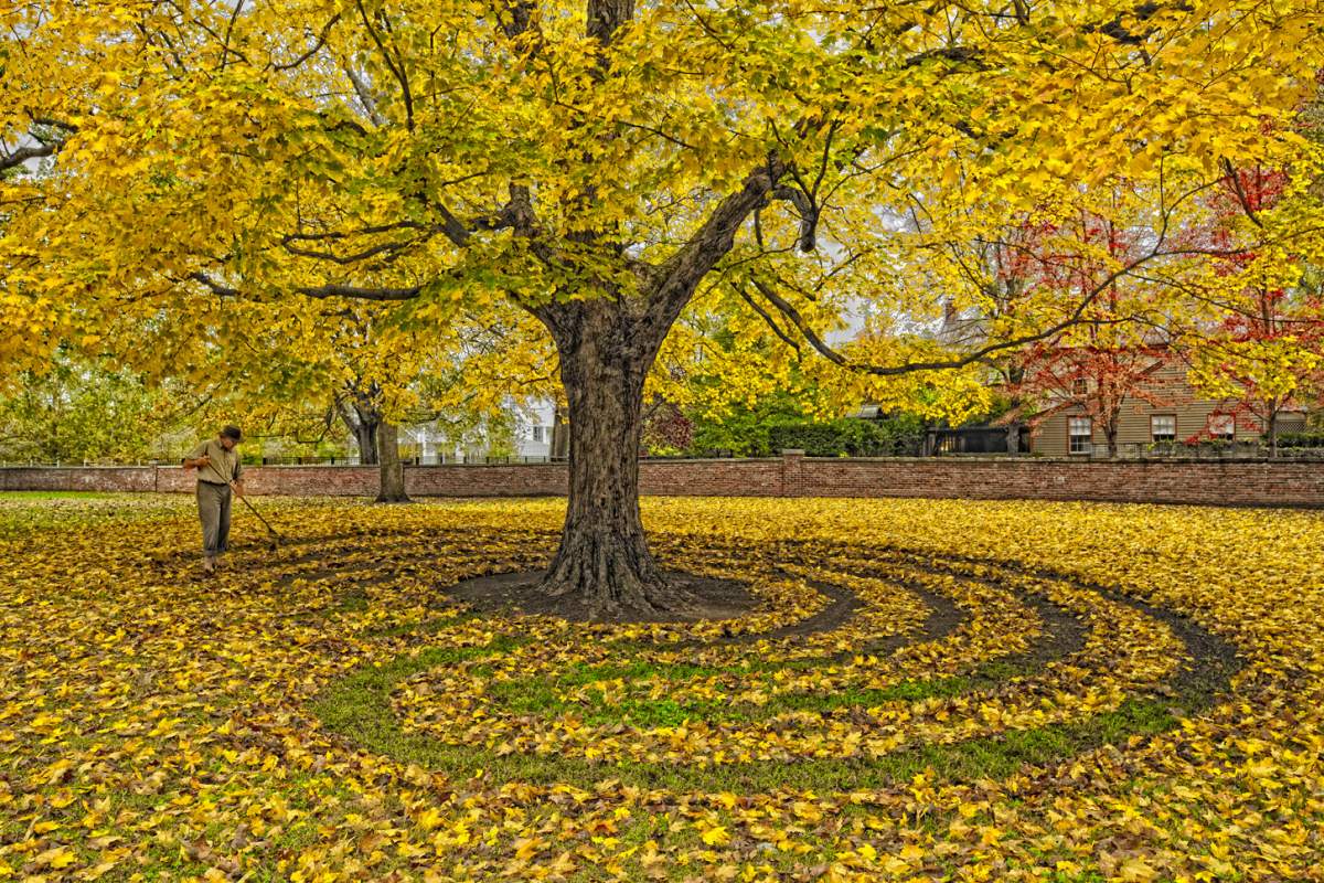 A labyrinth of golden leaves in the Harmonist Cemetery