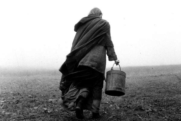 A still from the film The Turin Horse