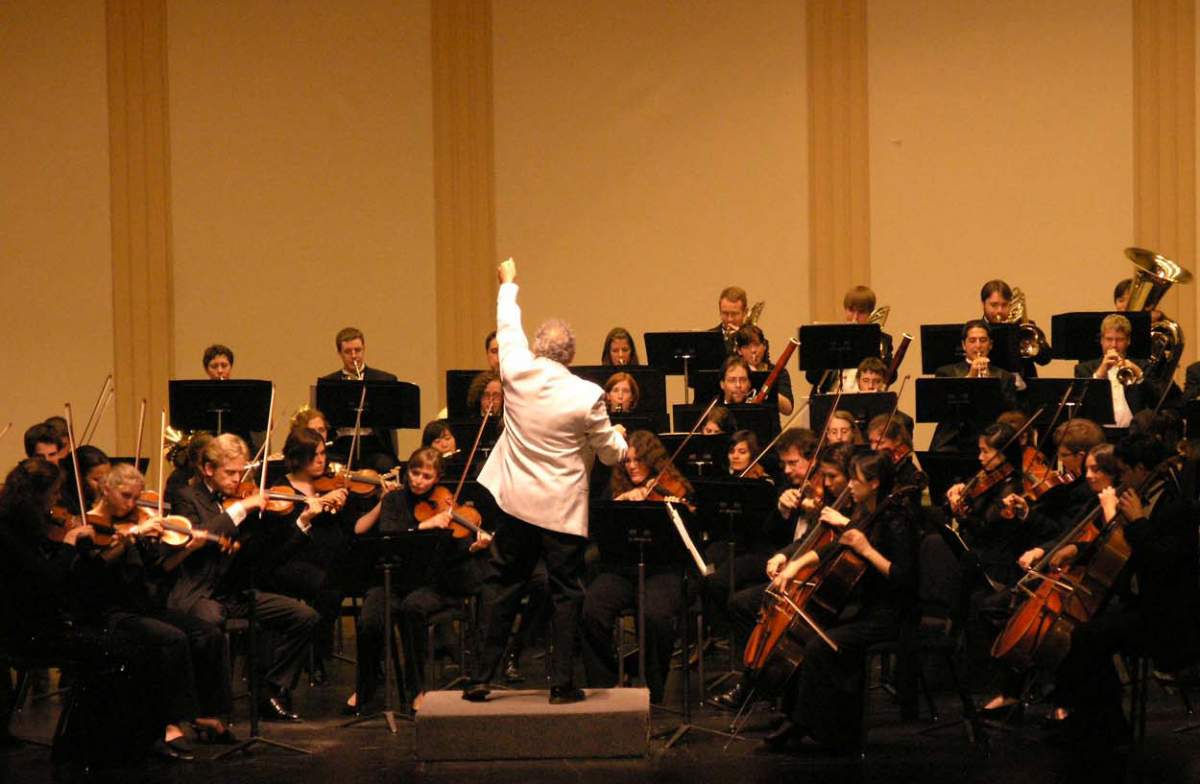 Orchestra in performance