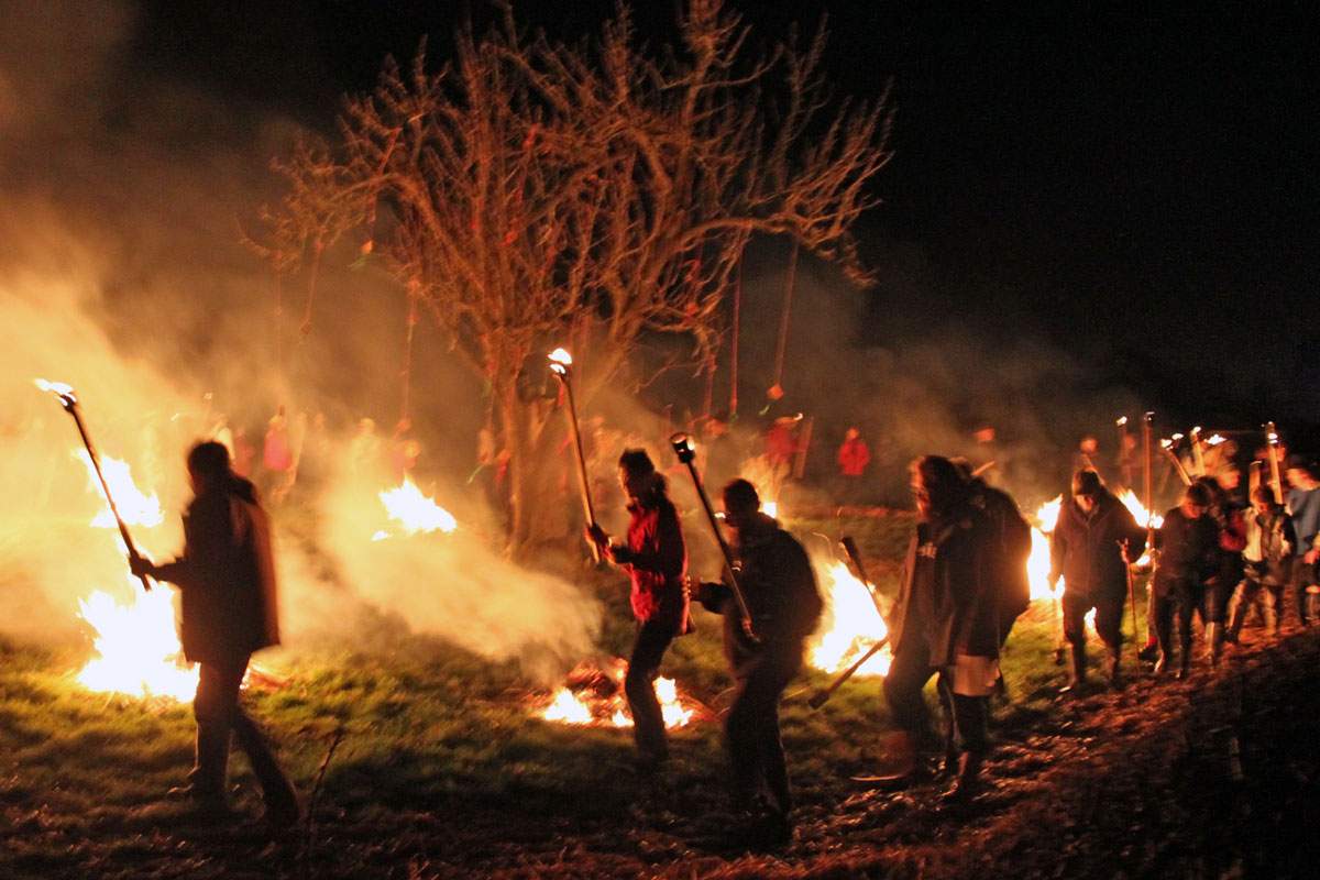 crowd marching around fires in apple orchard