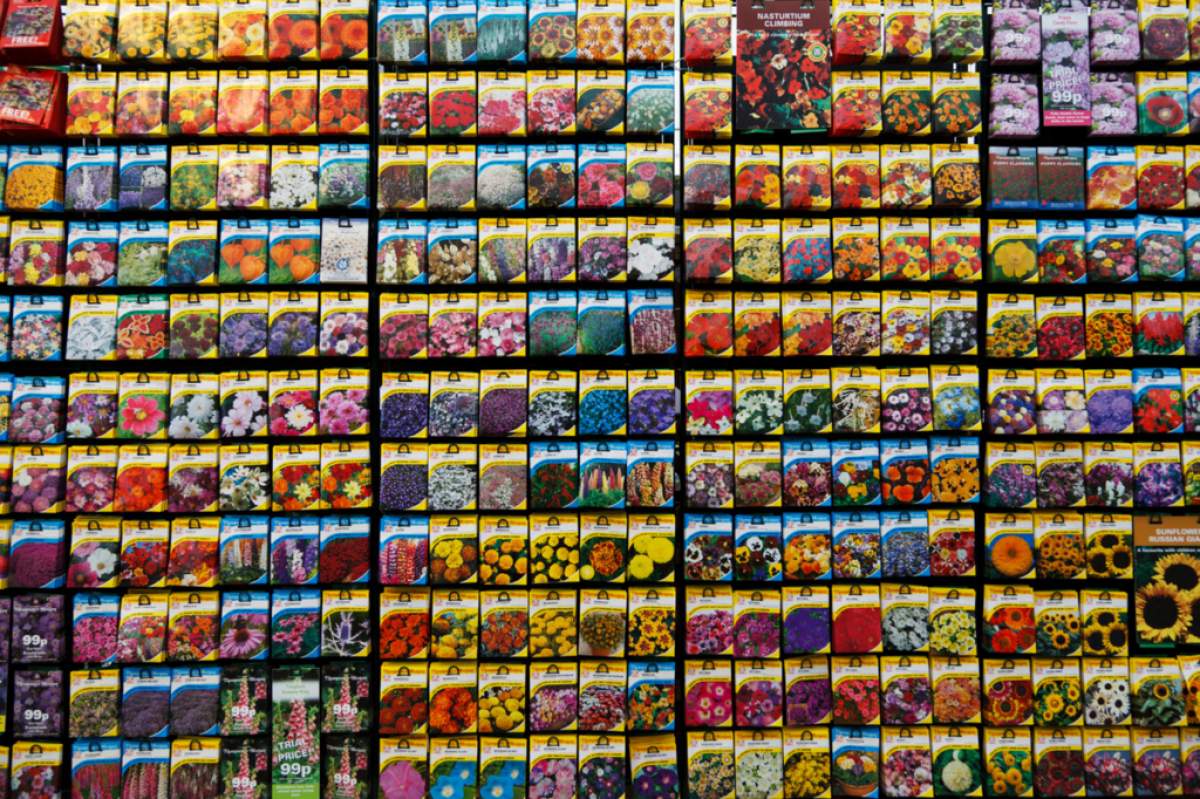So many seed packets to choose from! (Petr Kratochvil/publicdomainpictures.net)