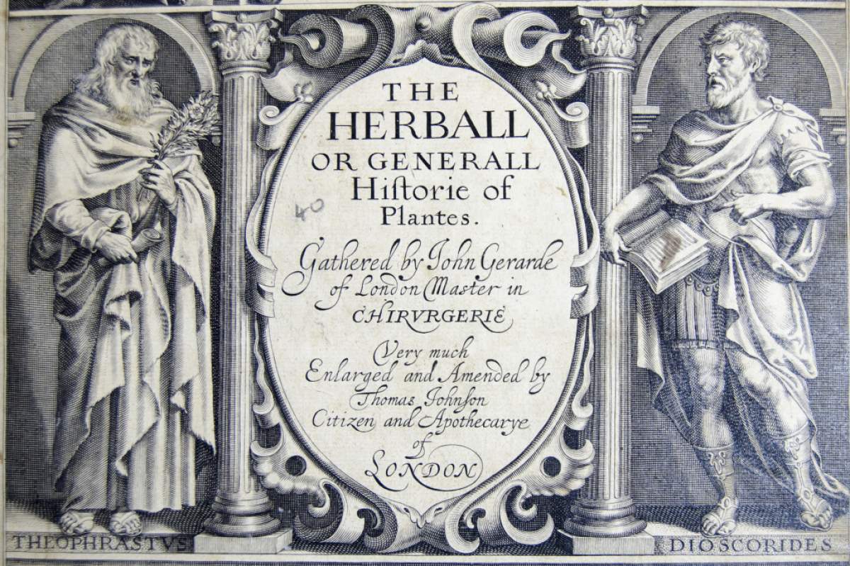 John Gerard, Herball (Medical Archive collections at University of Liverpool/flickr).