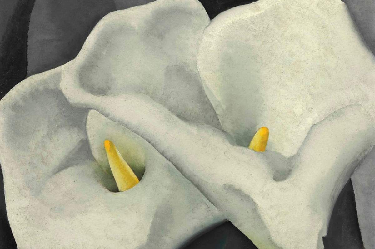 Georgia O’Keeffe’s “Two Calla Lilies” (Gandalf’s Gallery, Flickr).