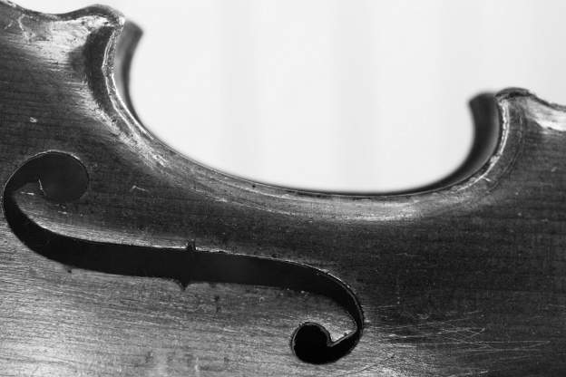 antique violin in black and white