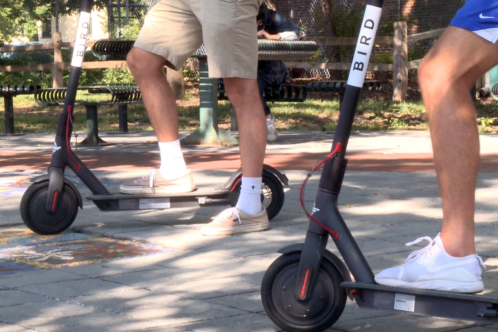 Two bird scooters in a city park