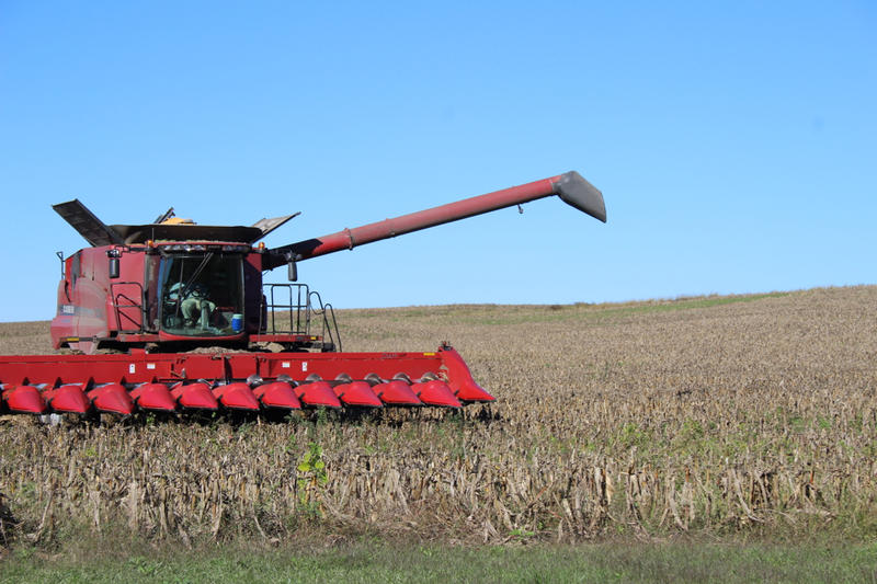 A large red tractor in a field of corn that has been harvested