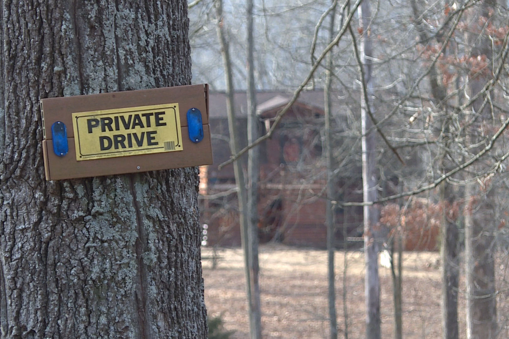 A tree with a yellow sign that says private drive