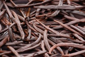 Vanilla dry fruit (vanilla bean, pod) in the curing ferments process for grading vanilla flavor.
