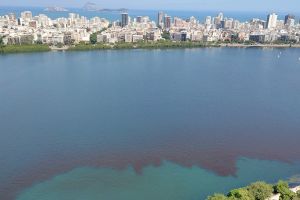 Red Tide, Rio de Janeiro, Brazil