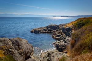 A scenic view of the coast on the Salish sea