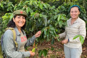 Dr. Ivette Perfecto and her student, Iris Rivera Salinas standing next to a leafy plant