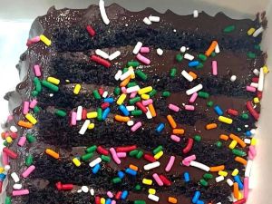 12-layer chocolate cake covered in sprinkles 