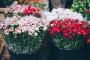 Flowers at market