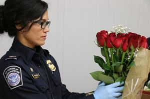 CPB inspection of imported roses