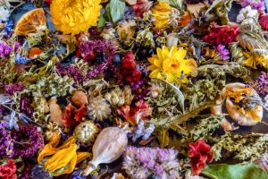 Dried flowers of various colors and textures