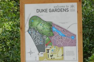 Map of the Gardens at Duke University