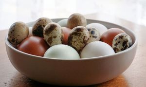 Chicken and quail eggs in a bowl.