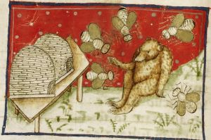 Miniature of a bear with bees and a beehive from a medieval manuscript