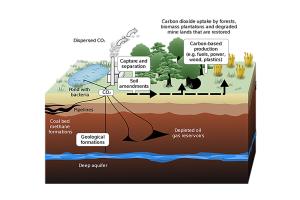 A diagram of different types of carbon sequestration. Environmental groups are concerned that leaking CO2 emissions from injecting CO2 underground could pollute drinking water sources, suffocate residents and animals, or cause earthquakes.