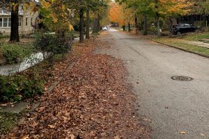 A photo of autumn leaves and yard waste in a Bloomington street.