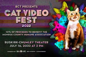 Cat Video Fest Flier