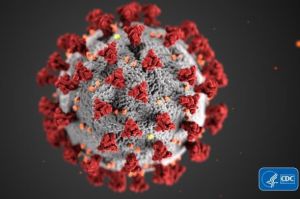 SARS-COV-2 virus closeup