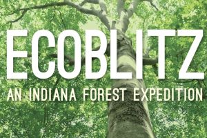 The front cover of the book features a tree from below and reads "EcoBlitz: An Indiana forest expedition."