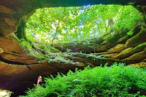 A view from inside the Hopper Pit, one of the pit caves on the Lowe tract in the Hoosier National Forest.