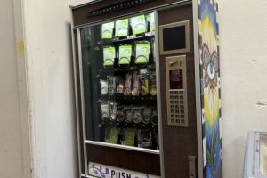 Hospital gloves in a wall-mounted plastic container.