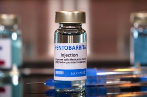 Vial of Pentobarbital with syringe