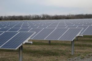 An image of solar panels.