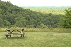 Opposition in rural counties is a major reason behind the lack of solar progress in the state.