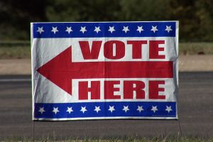 A voting sign in a yard