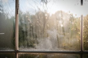 View from a dirty window frame