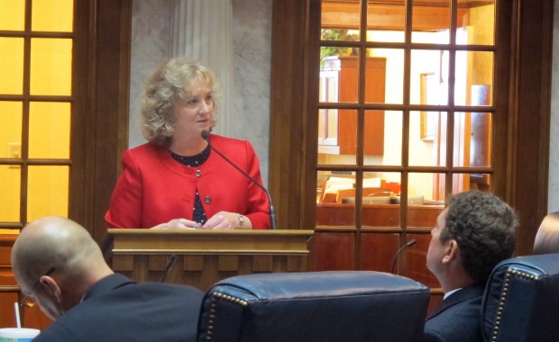 Superintendent of Public Instruction Glenda Ritz explains her vision for Indiana's next test to a panel of state lawmakers tasked with reviewing academic standards.