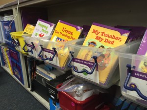 Gabe Hoffman will teach third grade at Nora Elementary School in Indianapolis. This summer, he's spent a lot of time organizing his class library.